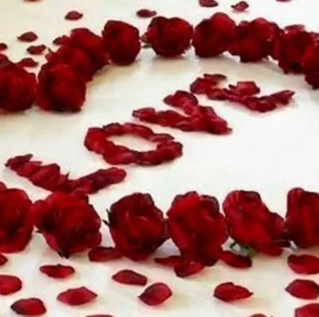 Casa Olimpo * 都灵